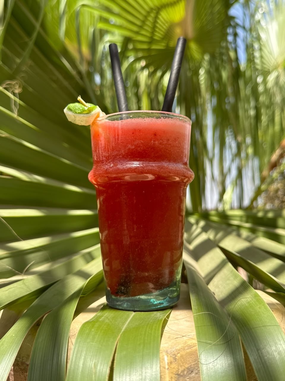 A red berry cooler held up against the terrace palms