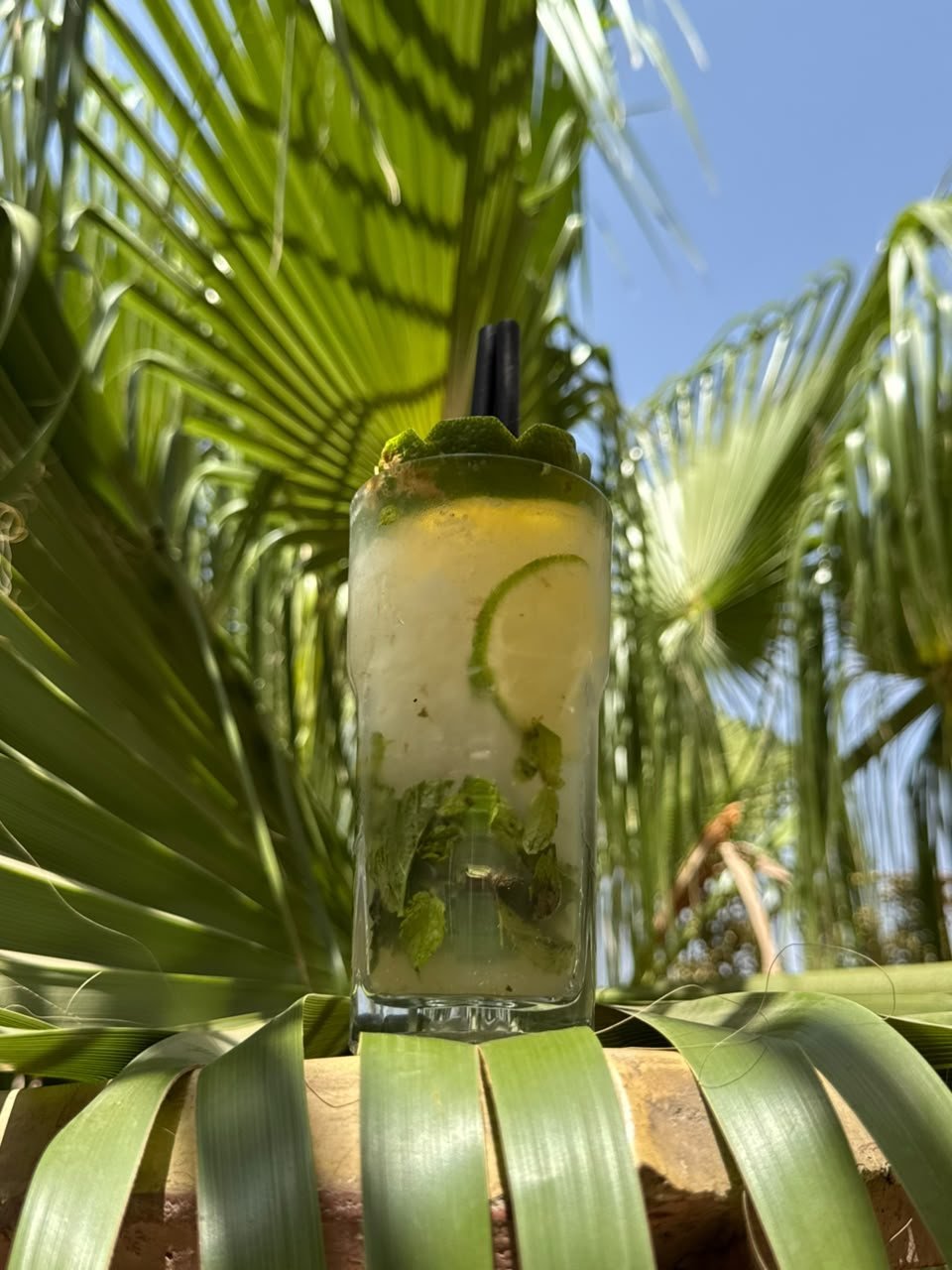 An iced fruit cooler raised against the bright Marrakech sky