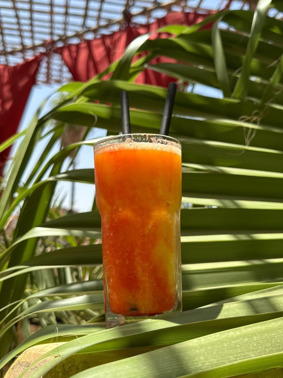 A tall glass of fresh orange juice against the palms of the terrace