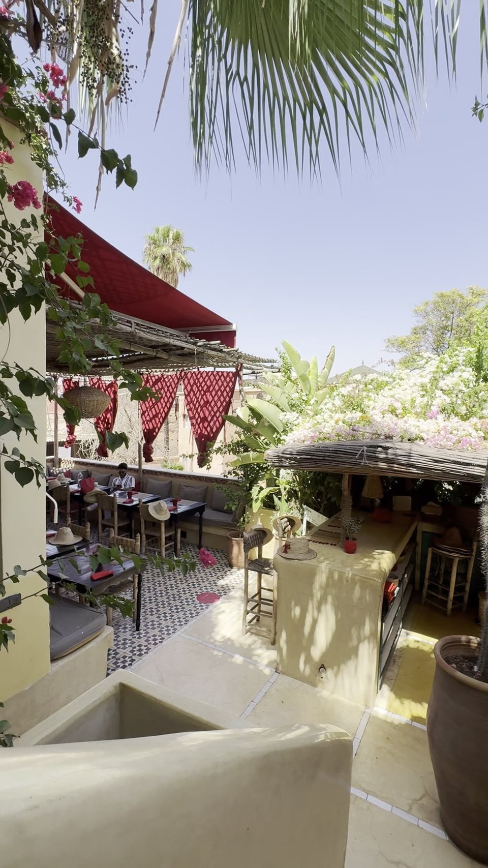 Palm and bougainvillea against the sky above the rooftop terrace